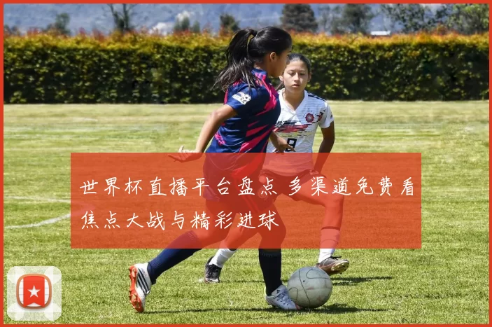 世界杯直播平台盘点 多渠道免费看焦点大战与精彩进球