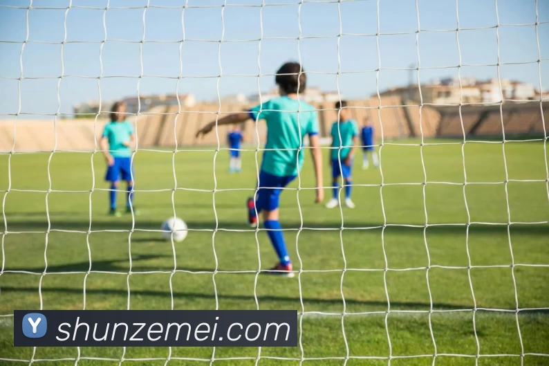 云开体育app网页版入口(中国)有限公司 - 官网发展历程