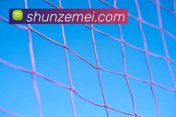 欧洲杯赛程图表全览：分组关键赛程与晋级日程影响及淘汰赛看点